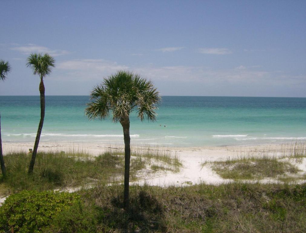 Club Bamboo South - Bradenton Beach Dış mekan fotoğraf